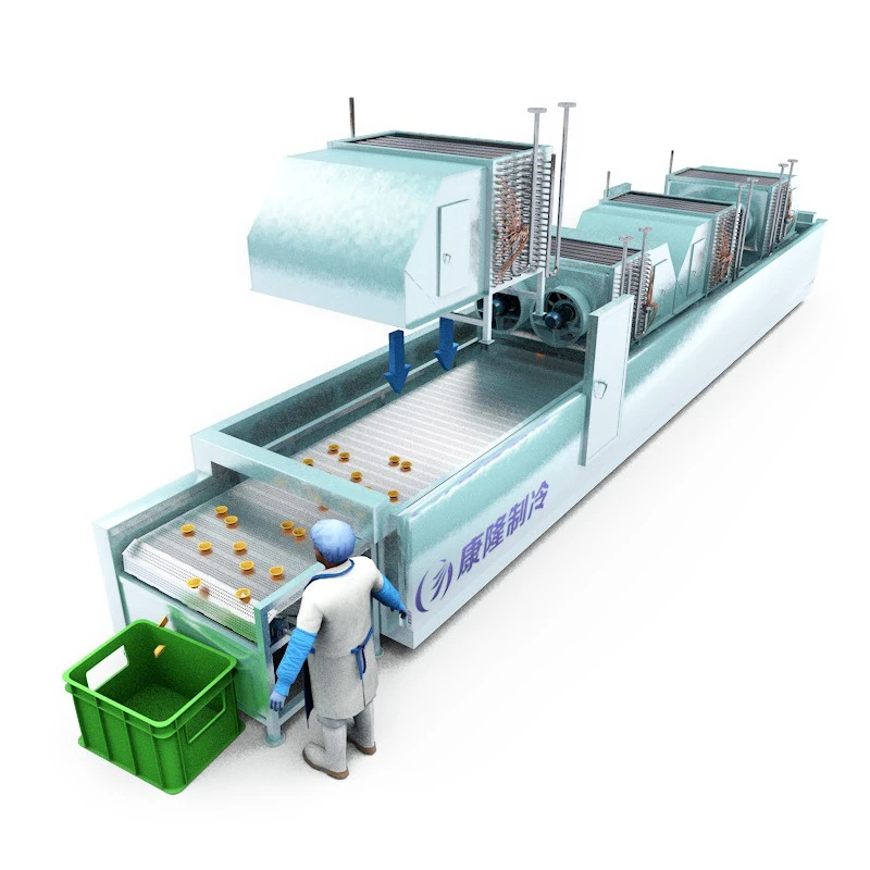 Mesh Belt Tunnel Freezer best